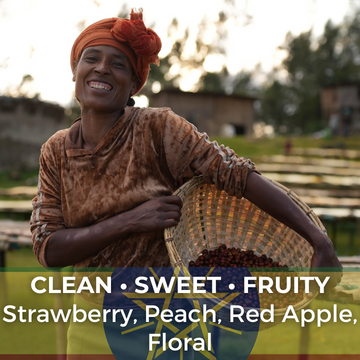 Ethiopia Daye Bensa Natural Sidama ARD